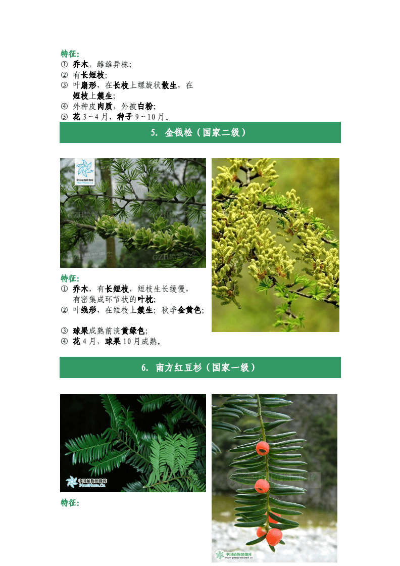 新澳正版资料免费大全,植物保护_地圣NAF26.32