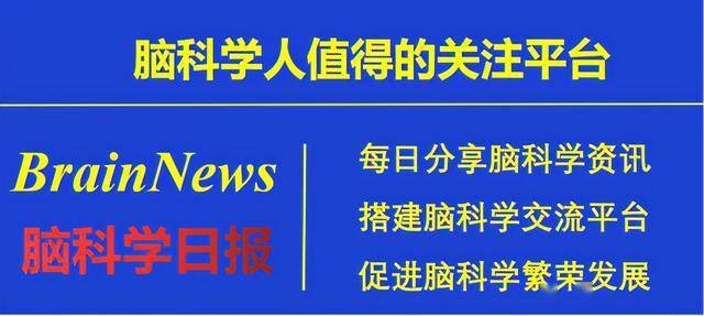 新奥精准免费奖料提供,科学功能与作用_超脱AYU322.96