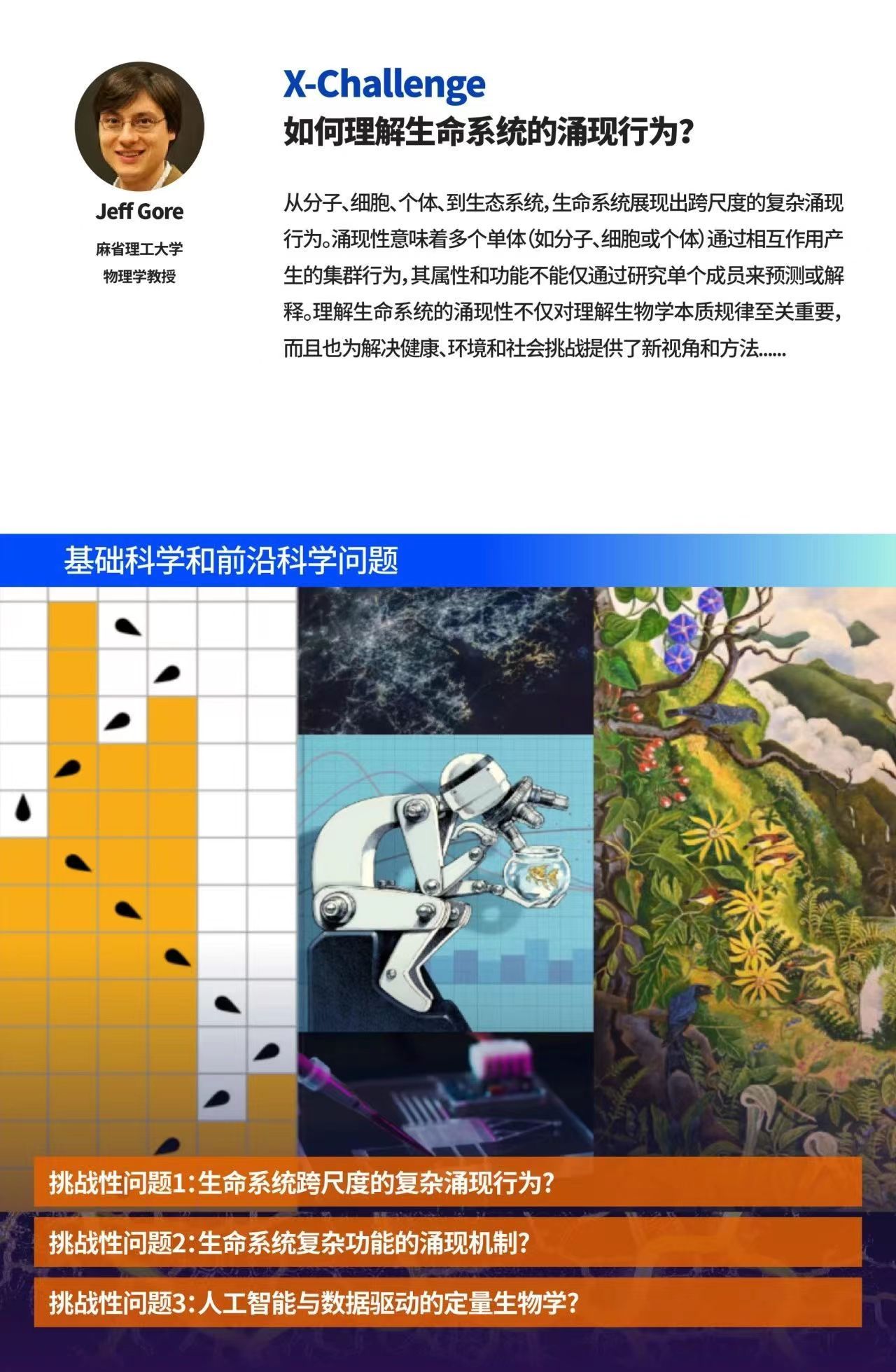 一肖一码一一肖一子深圳,环境科学与工程_灵神HLN520.43