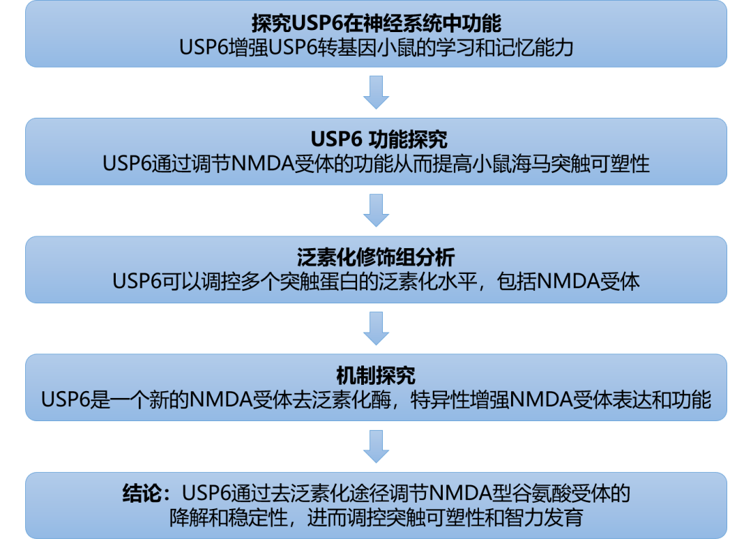 4949cc图库资料大全,资源实施策略_地圣FIZ489.92