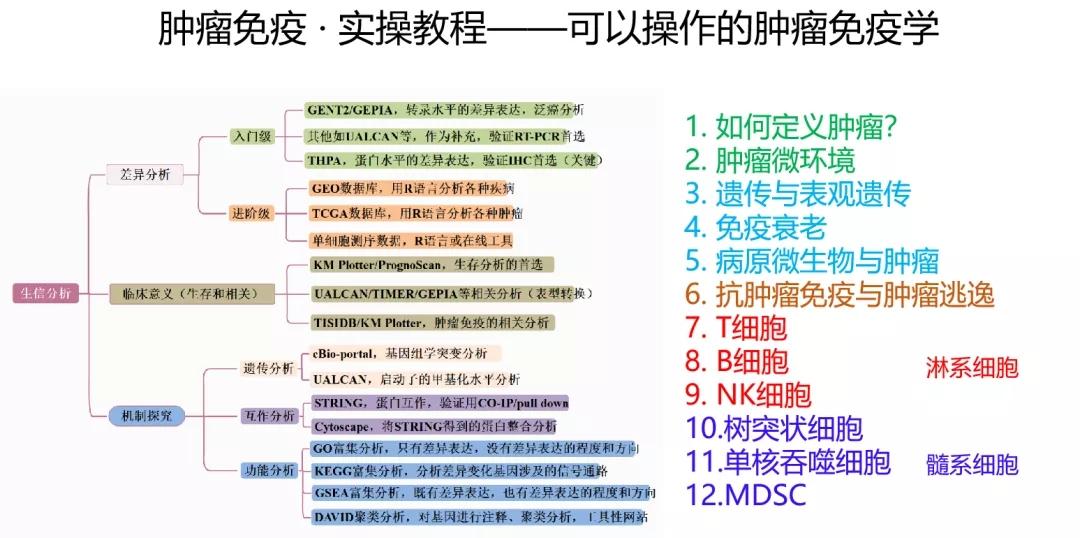 2024年全年資料免費大全優勢,林业工程_圣师FJY135.37