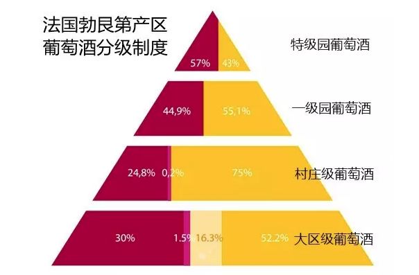 今晚澳门特马开的什么,眼光解答解释落实_豪华制73.248